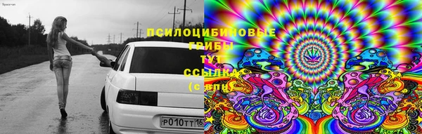 apvp Киреевск