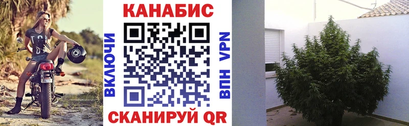 Канабис Bruce Banner  Купить  Белорецк 